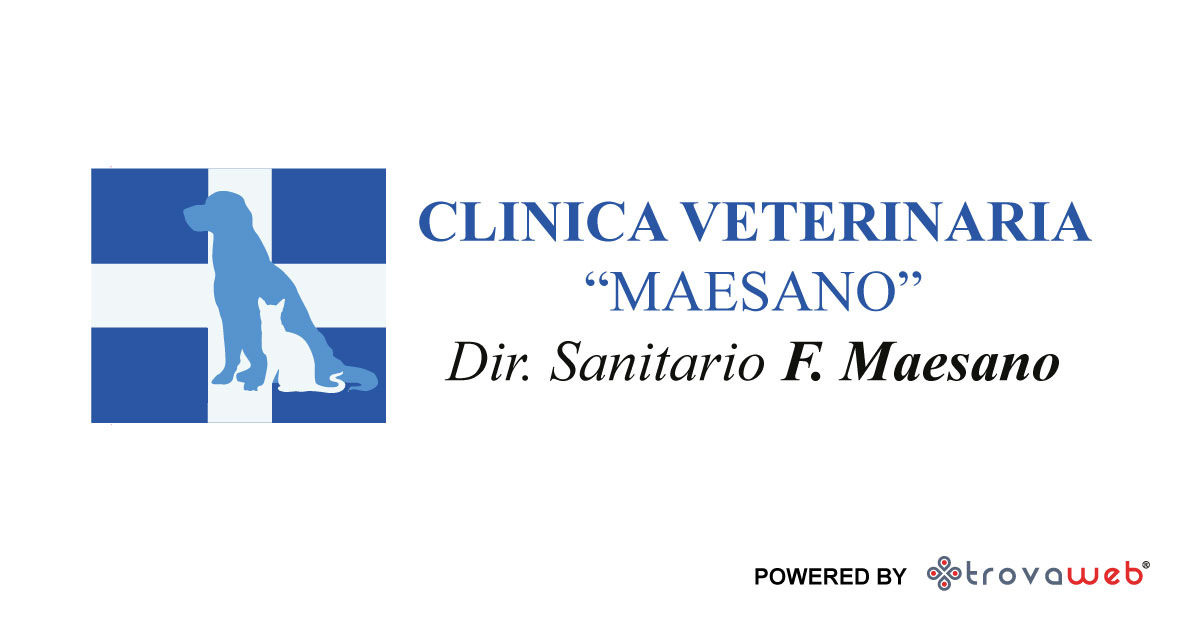 Clinica Veterinaria Maesano